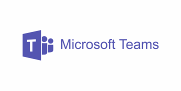 Microsofts Team Logo